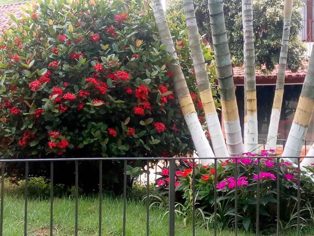 Casinhas Interior Mg Villa Antonio Prado de Minas Eksteriør bilde